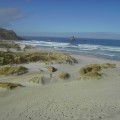 Sandfly bay